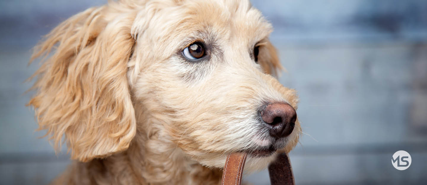 Neues, Informatives und Unterhaltsames aus unserem Unternehmen | Marquardt & Streck Hamburg-Billstedt, Ihr Experte für Haustechnik, Elektrotechnik & Sanitär-Heizung-Klimatechnik