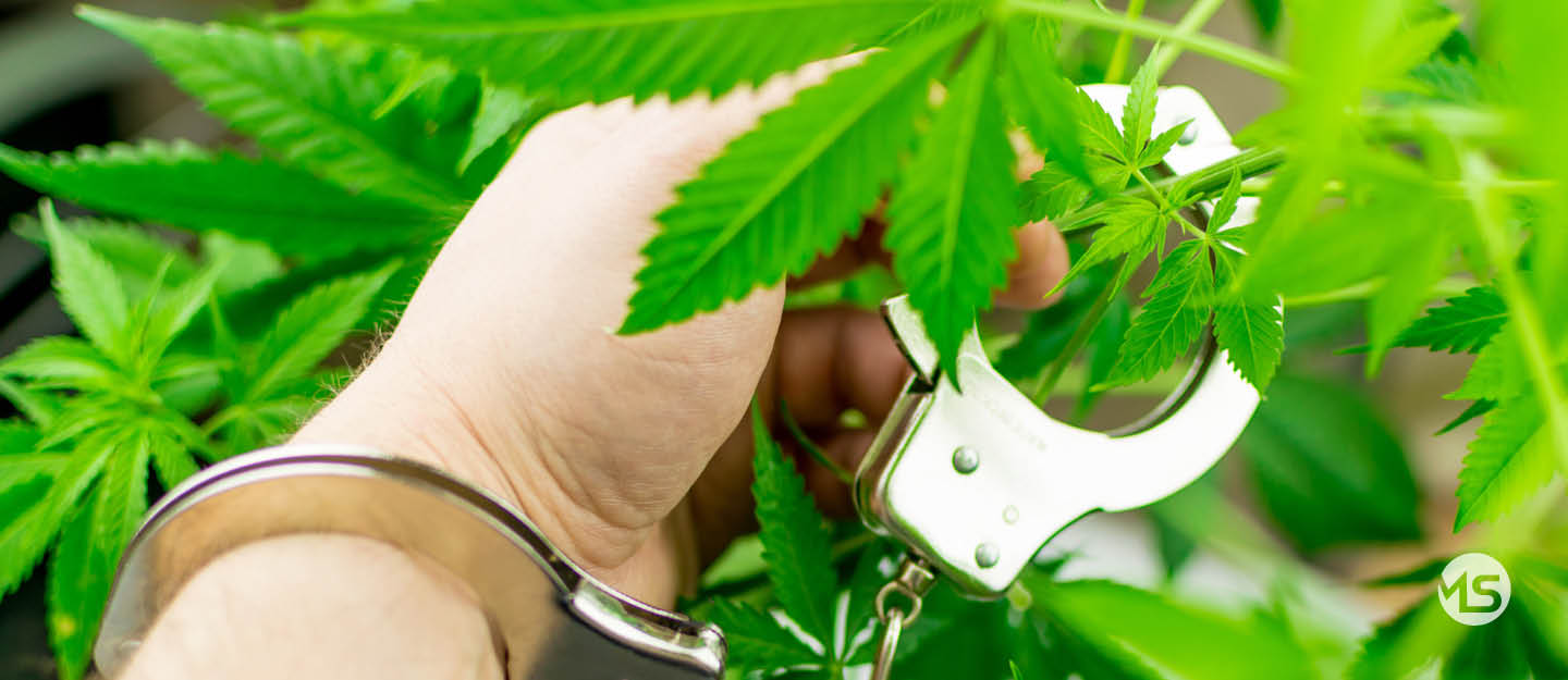 Neues, Informatives und Unterhaltsames aus unserem Unternehmen | Marquardt & Streck Hamburg-Billstedt, Ihr Experte für Haustechnik, Elektrotechnik & Sanitär-Heizung-Klimatechnik